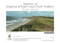 Bronze Certificate
