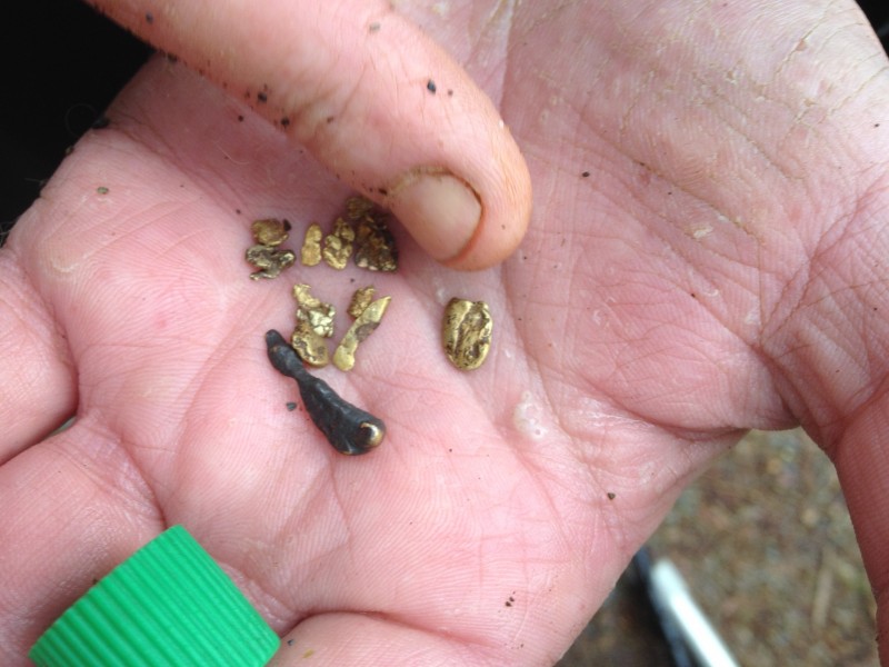 persons hand with gold nuggets