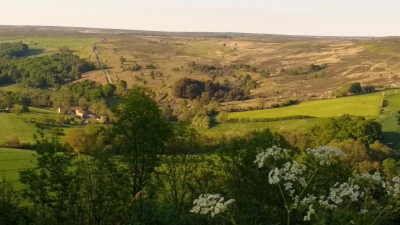 Looking across to Spaunton Moor