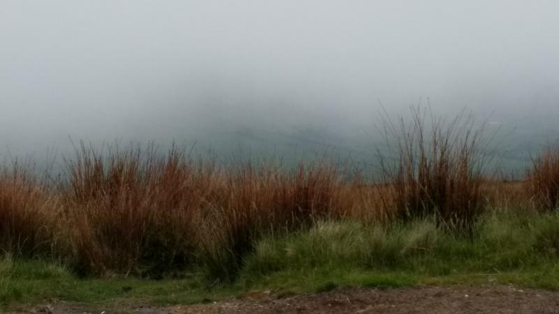 On Blakey Ridge