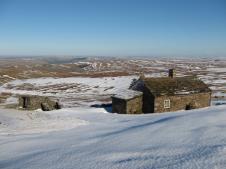 6. Greg's Hut