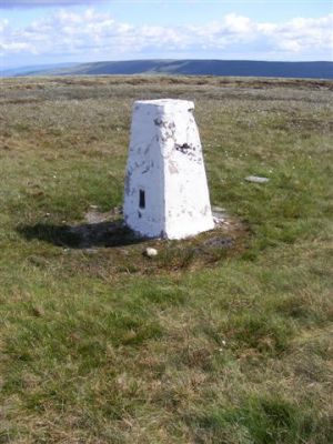 Middle Tongue Trig