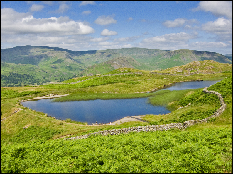 ALCOCK TARN ALCOCK TARN