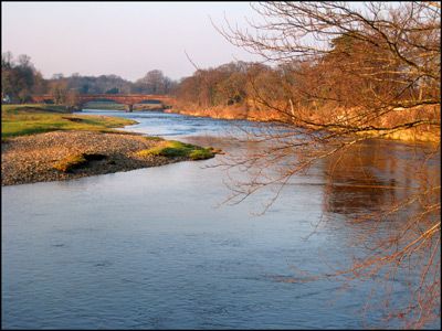 07. WARWICK BRIDGE