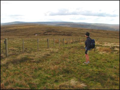 ROSEMARY CONTEMPLATING DESTINATION CROSS FELL