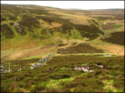 ENGLAND'S LAST WILDERNESS