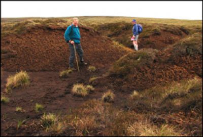 A MAZE (ING) PEAT HAGS