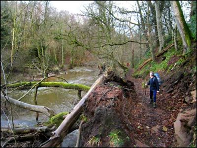 1.RIVER PETTERIL