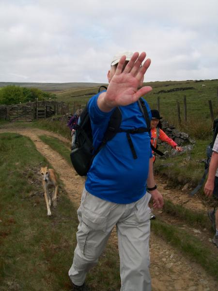 Who didn't want the paparazzi?
