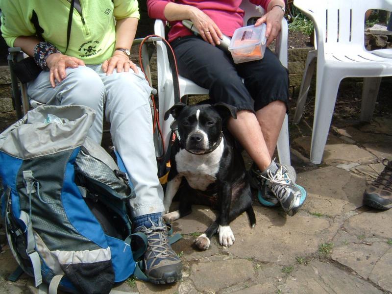 Maude hopes for fish and chips