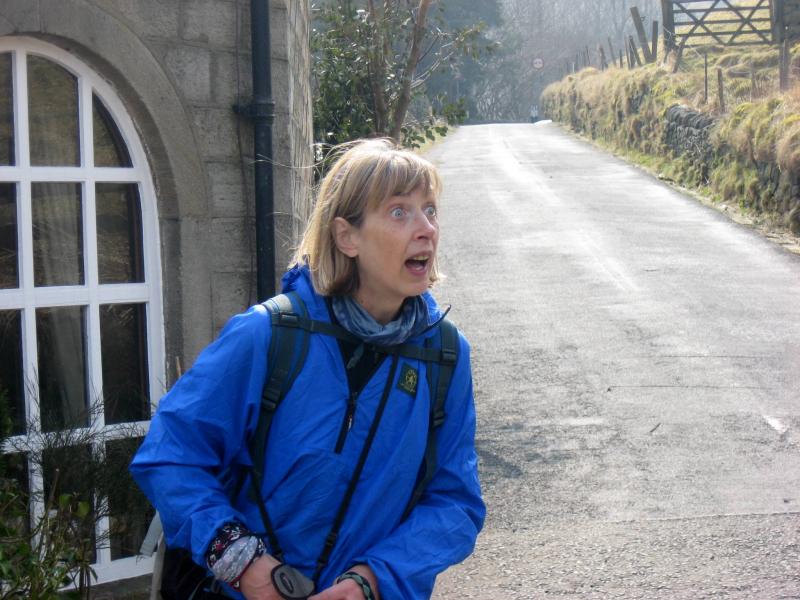 What is Hilary looking at? Answers on a postcard please....