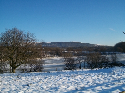 Winter Wonderland