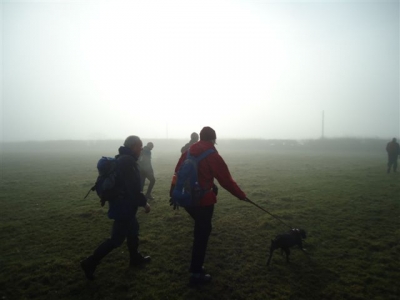 Maude in the mist