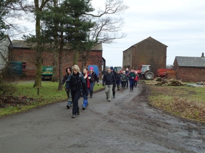 Leaving lunchtime farm