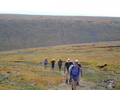 Tracy leads the way