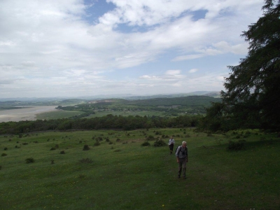 Climbing Arnside Knott