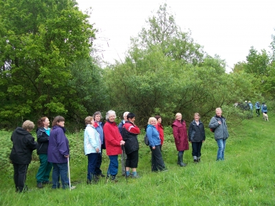 Lovely line of ladies (and one man!)