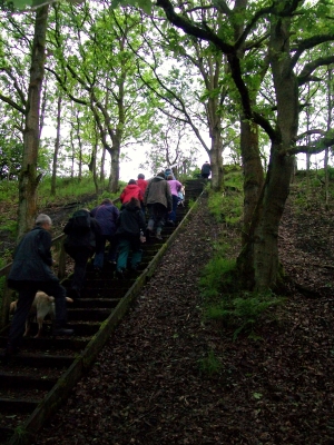 Climbing the steps