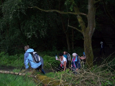 Climbing the slippy hill