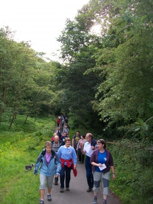 Following the path