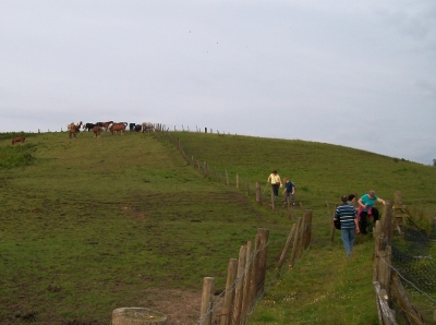 Descending to the canal