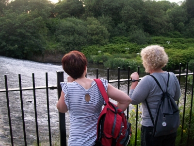 Weir on the River Croal