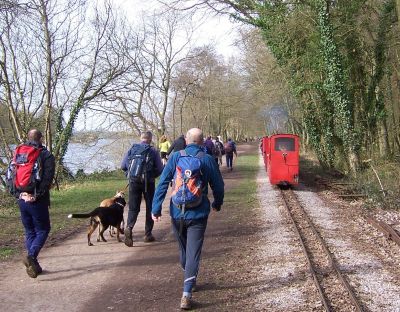 Steam train passes by