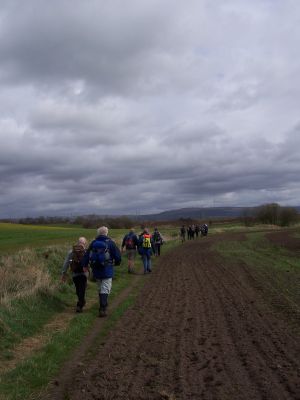 View towards Winter Hill