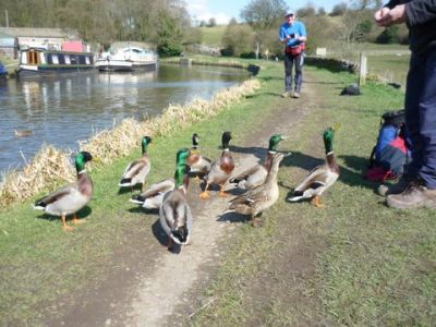 Who's Quackers then?