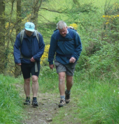 Walking and Talking