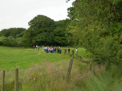 Towards the woods