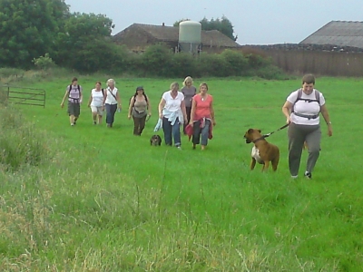 Who's walking who?