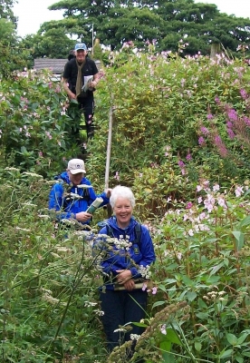 In the jungle, the mighty jungle....