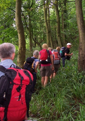 John leads us into the jungle