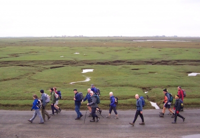 By the Marsh