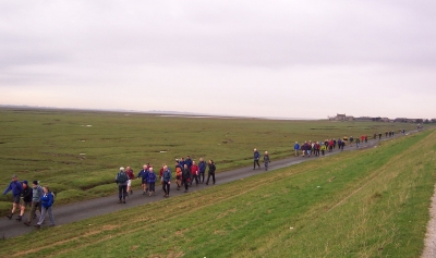 What a good turn out! By the Marsh