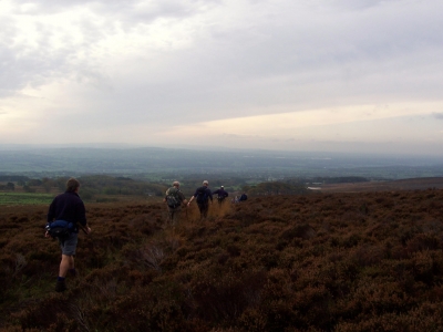 Into the Heather