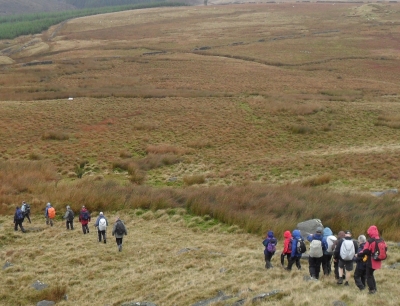 Onto the moor