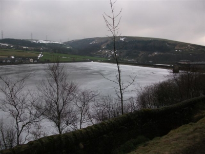 Anyone for a swim?