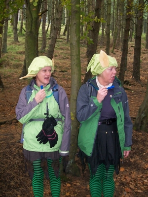 Those naughty elves again