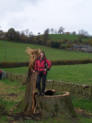 Barbara with fallen tree
