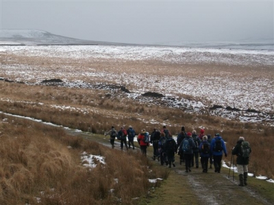 Icy Moors