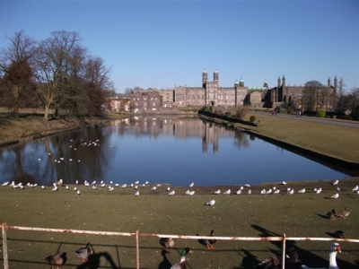 Majestic Stonyhurst