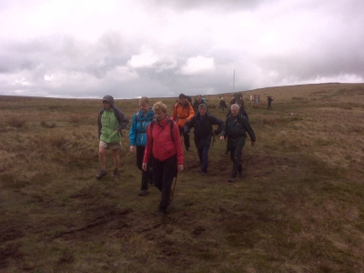 Over the Moor