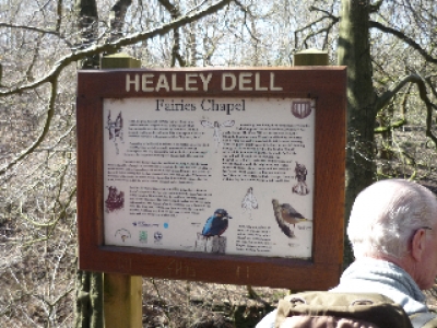 Healey Dell