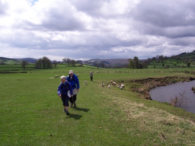 Please don't mention mint sauce