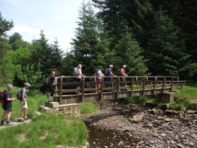 Nearly dry stream