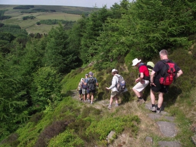 Down the hill
