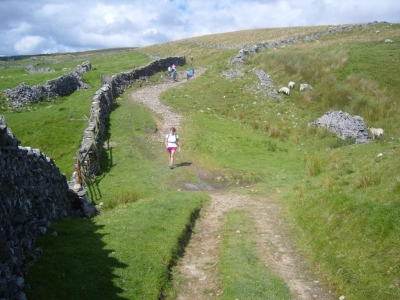 Hazel leads the way