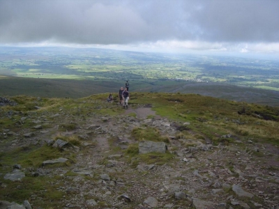 View from the top
